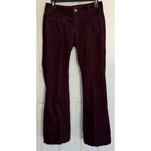 Ann Taylor Loft Women's Modern Flare Brown Corduroy Pants size 2